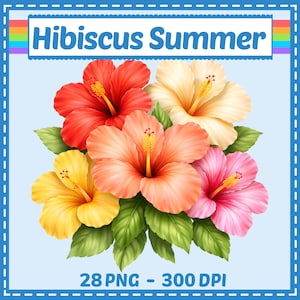 May include: A digital illustration of a bouquet of hibiscus flowers in shades of red, yellow, peach, and pink, with green leaves. The text "Hibiscus Summer" is at the top, and "28 PNG - 300 DPI" is at the bottom.