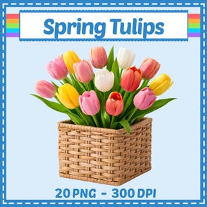 May include: A woven basket filled with colorful tulips in shades of pink, yellow, red, and white. The text "Spring Tulips" is displayed above the flowers. The image is set against a light blue background.