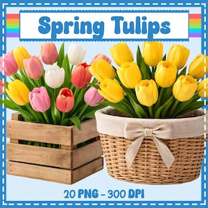 May include: An image featuring bouquets of colorful tulips in wooden crates and a woven basket. The tulips are in shades of yellow, pink, red, and white. The text "Spring Tulips" is displayed at the top, with "20 PNG - 300 DPI" at the bottom.