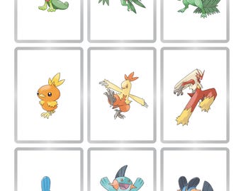 Tarjetas de marcador de posición de Hoenn de la Generación 3 de Pokémon para imprimir - 135 páginas para carpetas Pokémon - Descarga digital de insertos para carpetas TCG