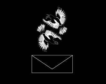 Order Add-On - Black Envelopes
