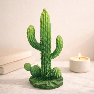ist ein kaktus eine pflanze Heliabravoa chende (Kaktus) kaufen main image 0