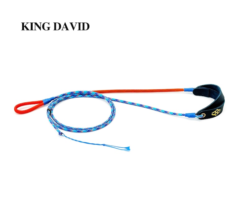 Puede incluir: Una correa para perro de la marca King David con un cord&oacute;n trenzado multicolor en tonos azules y morados, una secci&oacute;n naranja s&oacute;lida y un asa de cuero negro con un logotipo dorado. La correa incluye un lazo rojo y detalles en color azul.