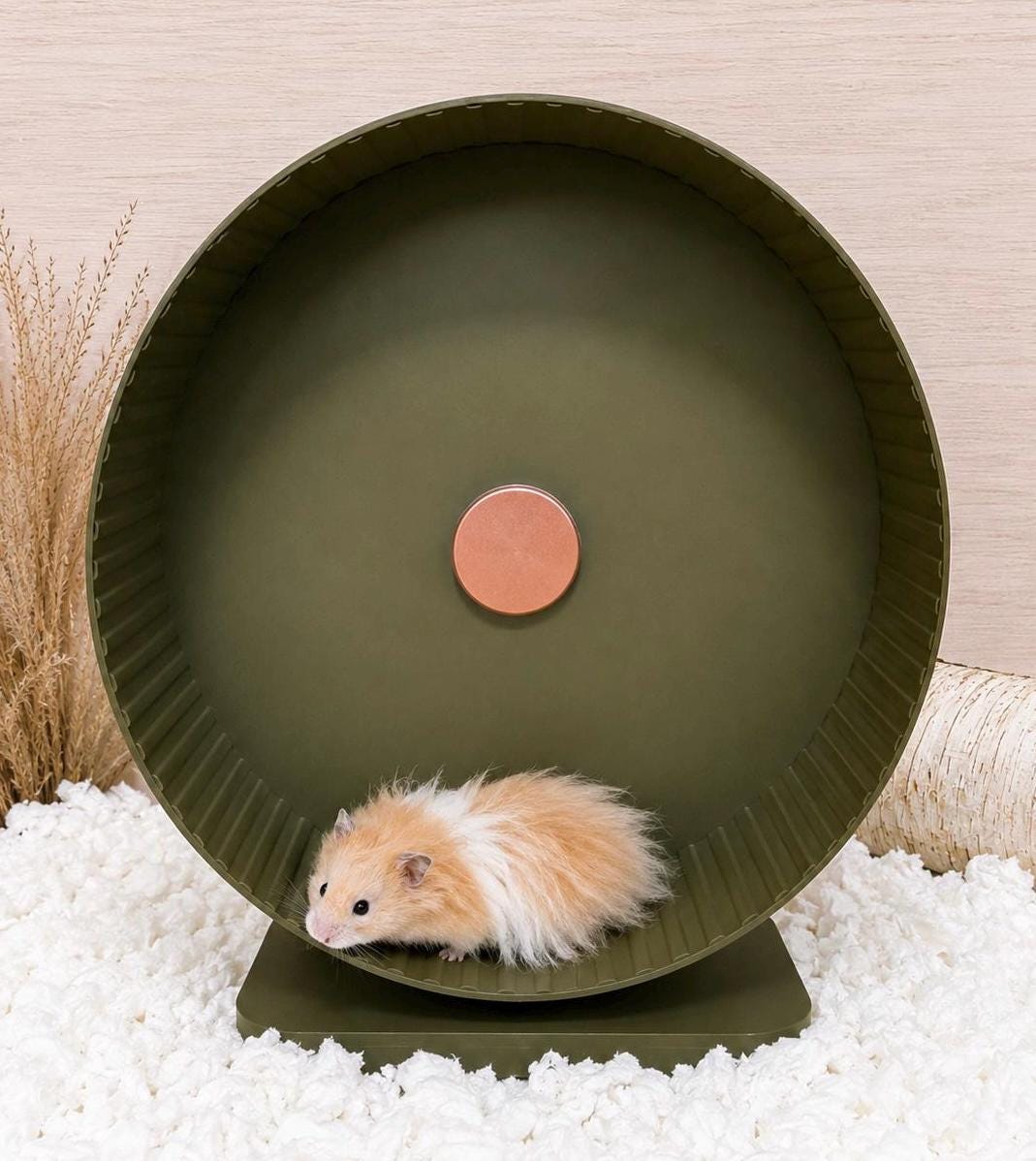 Large 12” Hamster Wheel – Silent Exercise Wheel for Syrian Hamsters - Etsy