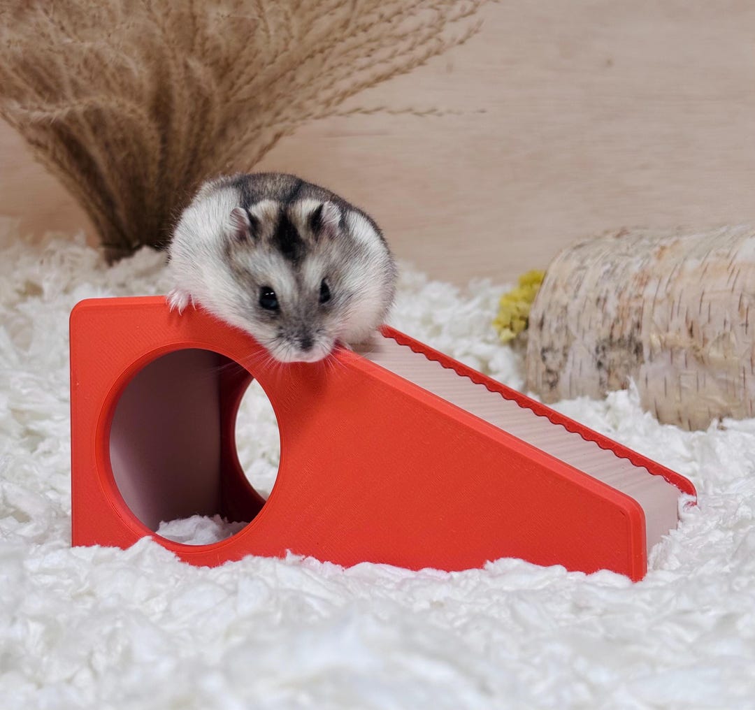 Hamster Ramp / Platform - Climbing Enrichment for Dwarf & Syrian ...
