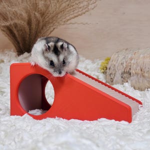 May include: A small, gray and white hamster perched on a bright red, angled pet habitat. The habitat features a circular opening and a white, ridged ramp. The hamster is in a fluffy, white bedding.