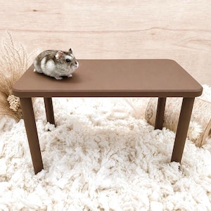 Può includere: Una piccola piattaforma rettangolare marrone con quattro gambe cilindriche. Un criceto grigio e bianco è seduto sulla superficie superiore della piattaforma. La piattaforma è realizzata in materiale liscio a tinta unita con angoli arrotondati.