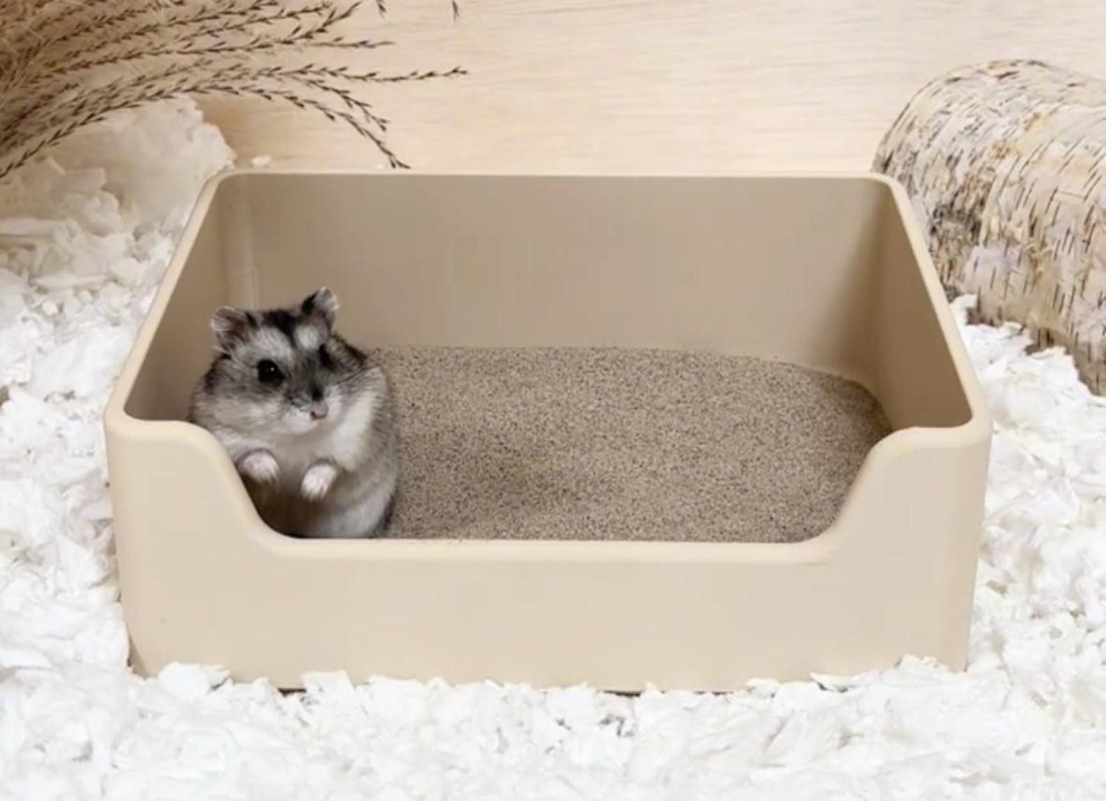 Hamster Sand Box - Natural Sand Bath Enrichment - Etsy