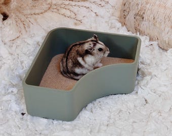 Baño de arena para hámsteres - Hámsteres enanos y sirios