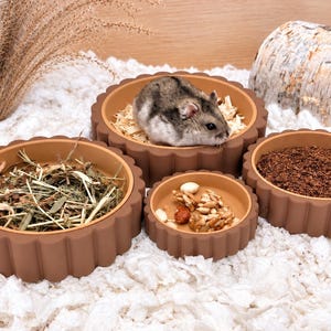 May include: A set of four round, brown, fluted silicone bowls of varying sizes. One bowl contains a small grey and white hamster sitting on wood shavings, another holds dried grass, one contains seeds and nuts, and the last holds dark soil.