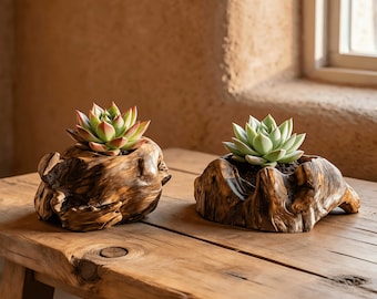 Handmade Pine Wood Succulent Planter Set | Primitive - style Decor