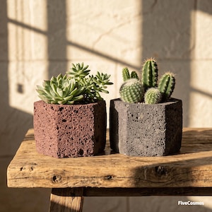 May include: Two hexagonal planters made of porous volcanic rock, one in a reddish-brown hue and the other in dark gray. The reddish-brown planter holds a green succulent, while the dark gray planter contains a cluster of small green cacti.