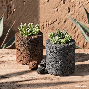 May include: Two cylindrical planters made of porous volcanic rock, one in a reddish-brown hue and the other in dark gray, each containing a small green succulent plant. Three loose pieces of volcanic rock are placed between the two planters.