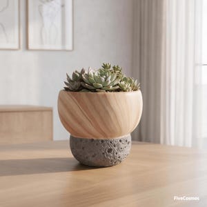 May include: A succulent plant arrangement in a two-toned planter. The upper section features a light wood grain pattern with a smooth, rounded shape, while the lower base is a textured, grey, porous material resembling volcanic rock or concrete.
