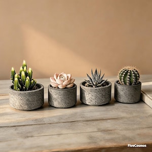 Puede incluir: Cuatro pequeñas suculentas y cactus en macetas redondas de hormigón gris moteado. Las plantas incluyen un cactus verde alto, una suculenta de roseta rosa pálido, una Haworthia rayada y un cactus verde redondo. El texto FiveCosmos es visible.