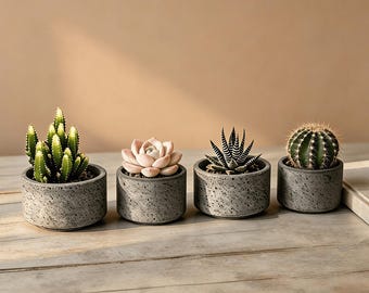 Handmade Lava Rock Mini Succulent Planters | Primitive Desktop Decor | Natural Stone Pot