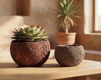 Handmade Lava Rock Planter Set | Natural Succulent Pot | Wabi-Sabi Decor