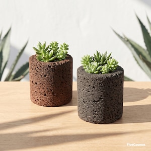 May include: Two cylindrical planters made of porous volcanic rock, one in a reddish-brown hue and the other in a dark charcoal gray. Each planter contains a cluster of small, light green succulent plants. The text FiveCosmos is visible.