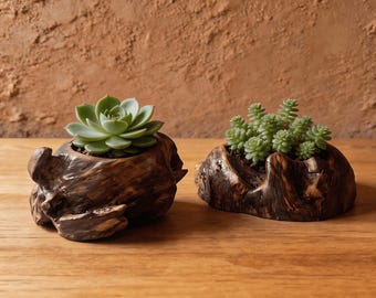 Handmade Pine Wood Succulent Planter Set | Primitive - style Decor | couple gift