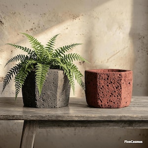 May include: Two hexagonal planters with a porous, volcanic rock texture. One planter is dark gray and contains a vibrant green fern plant, while the other is a reddish-brown color. The text FiveCosmos is visible in the bottom right corner.