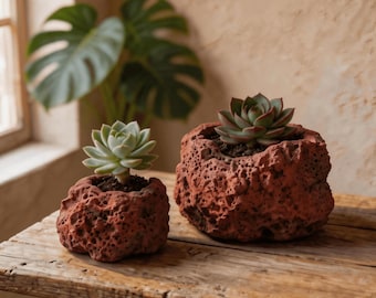 Handmade Organic Lava Rock Planter Set | Natural Succulent Pot | Primitive Decor