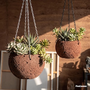 May include: Two spherical, porous, reddish-brown planters filled with various green succulents. The left planter hangs from silver-toned chains, while the right planter hangs from black chains. The text FiveCosmos is visible in the bottom right corner.