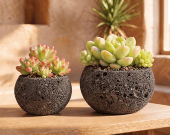 Handgemaakte plantenpottenset van lavasteen | Natuurlijke succulentenpot | Wabi-Sabi decoratie