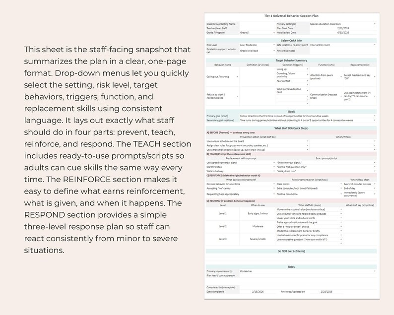 Behavior Intervention Plan Template IEP Tier 1 Spreadsheet Google ...