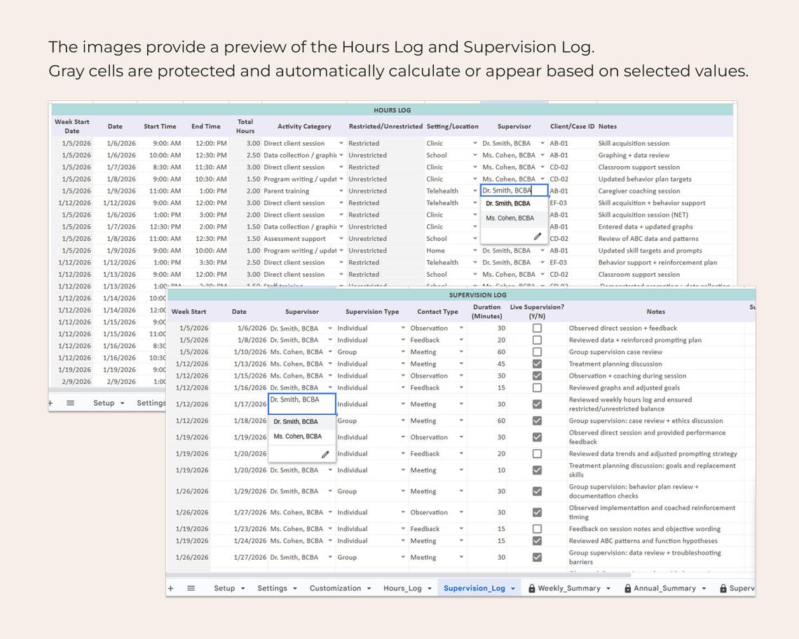 BCBA Fieldwork Tracker Spreadsheet Multi Supervisor Hours Log ...
