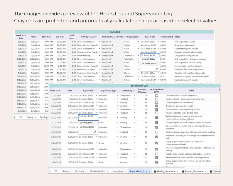 BCBA Fieldwork Tracker Spreadsheet Multi Supervisor Hours Log ...