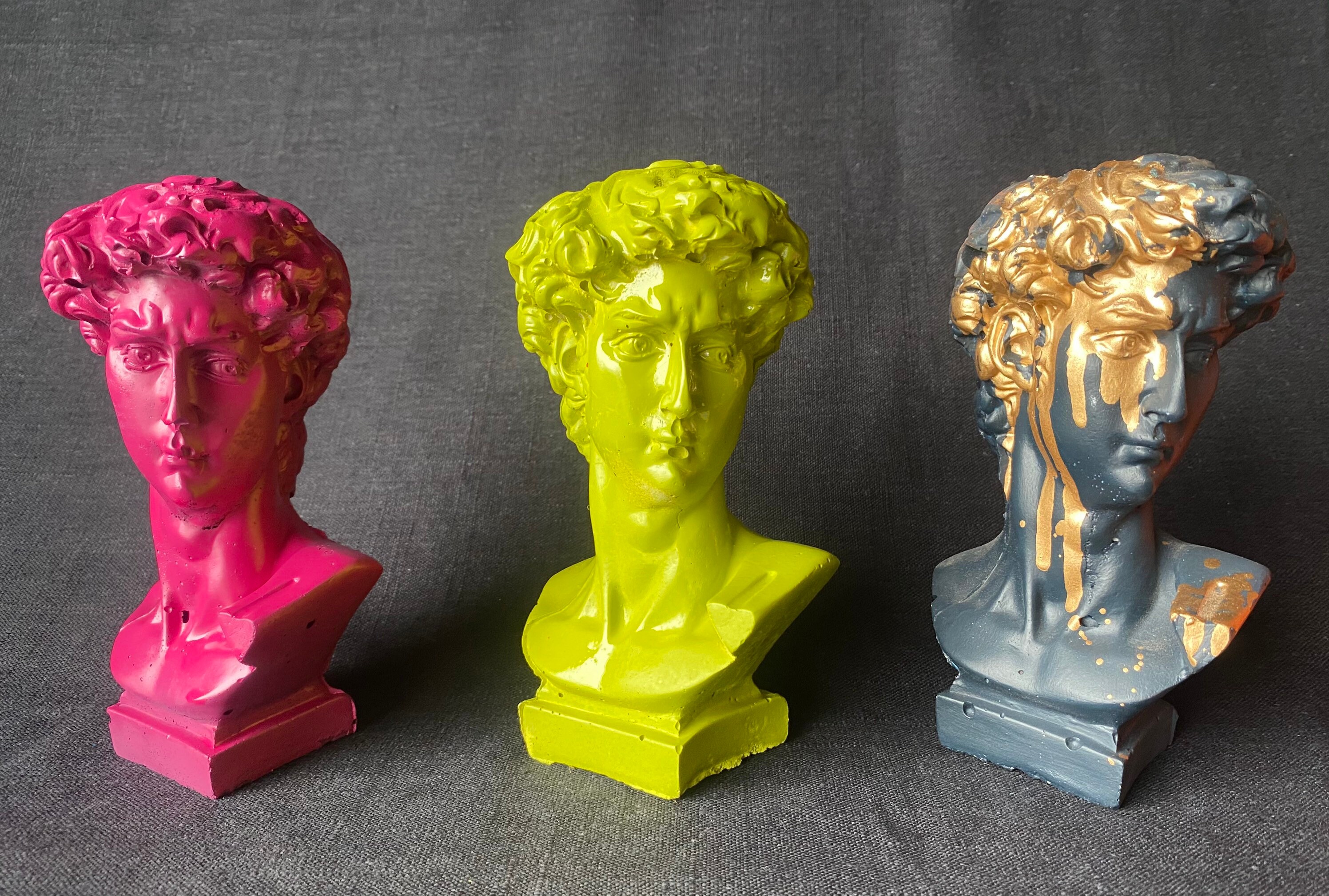 Statue Of David Planter Concrete Head Planter Pop Art Etsy