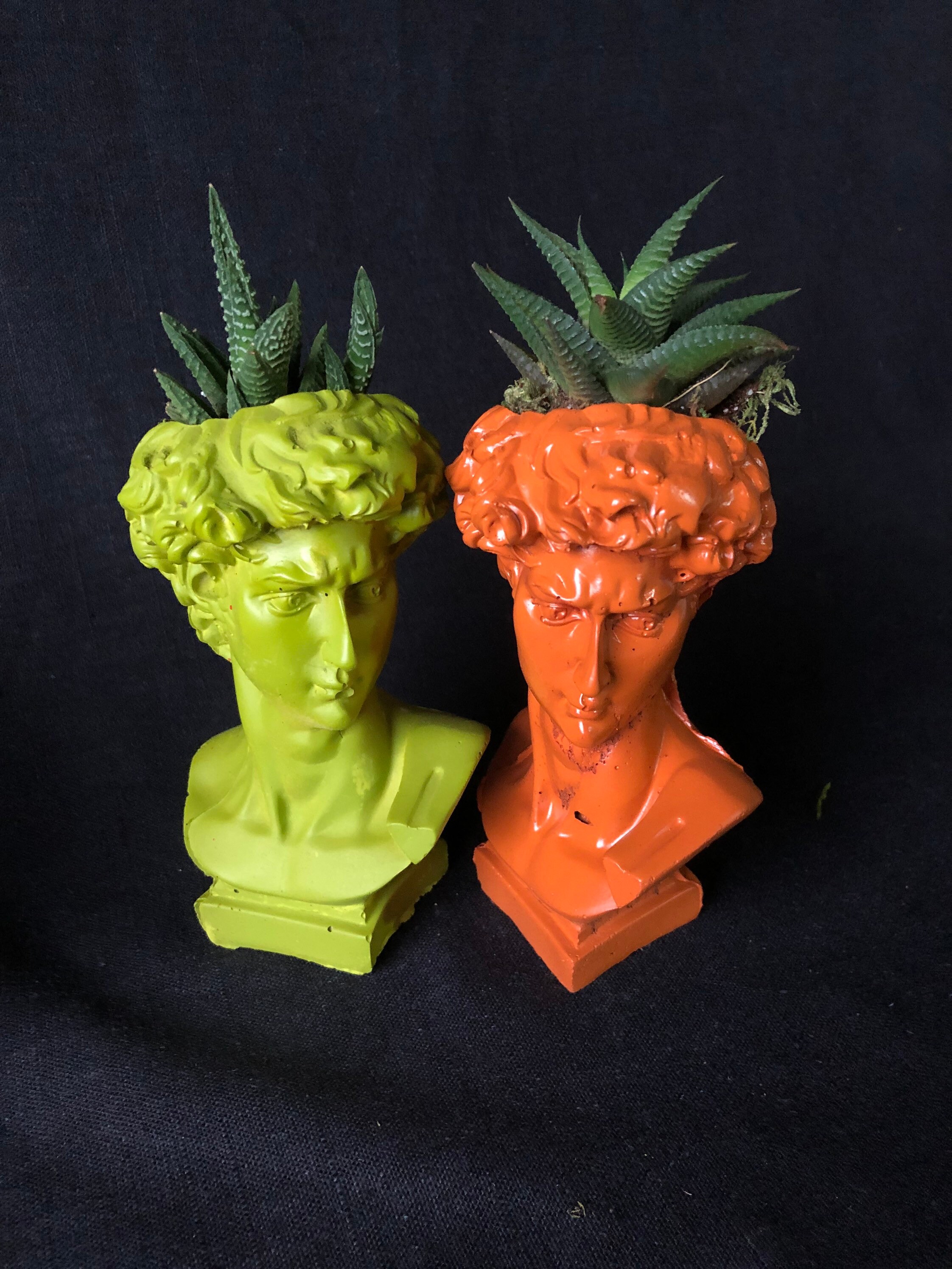 Statue Of David Planter Concrete Head Planter Pop Art Etsy