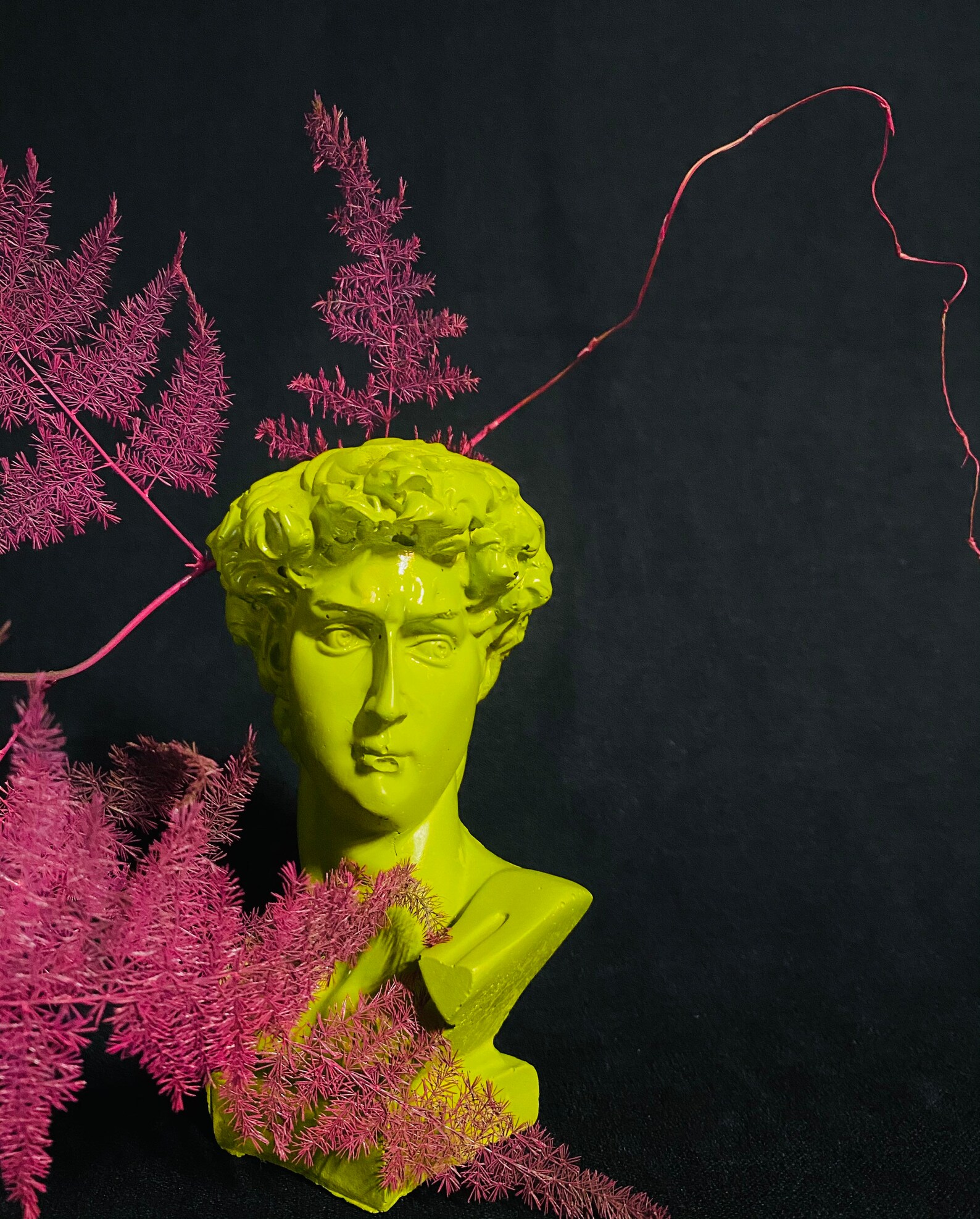 Statue Of David Planter Concrete Head Planter Pop Art Etsy