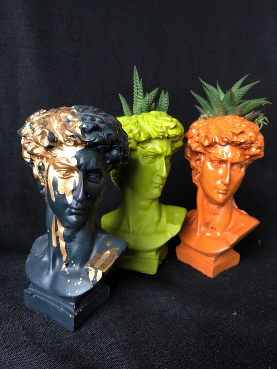 Statue Of David Planter Concrete Head Planter Pop Art Etsy
