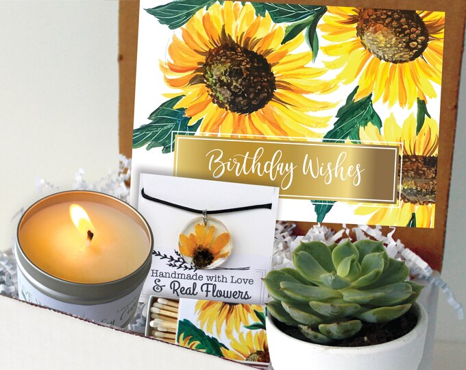Sunflower Birthday Gift Box Birthday Gift Live Succulent Etsy