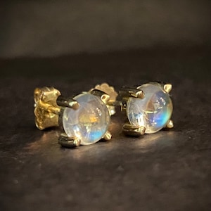 Yellow Gold Moonstone Stud Earrings 14k