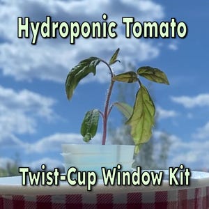 May include: A hydroponic tomato plant in a white Twist-Cup Window Kit. The plant has green leaves and a reddish stem, set against a blue sky with clouds. The text "Hydroponic Tomato" and "Twist-Cup Window Kit" are displayed.