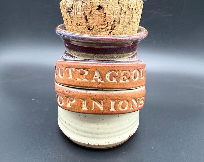 Vintage Dr. Brophy’s Word Jar Outrageous Opinions Pottery Jar Cork Lid Signed Dave 1990s