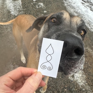 May include: A Great Dane dog with a tan and black coat looks directly at the camera. A hand holds a white sticker with a black line drawing of a stylized symbol in front of the dog's nose. The background shows a road and snow.