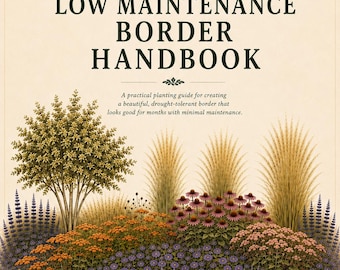 Manual de bordes de bajo mantenimiento / Jardín de fácil cuidado / Plan de plantación de bordes / Guía de diseño / Apto para principiantes