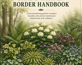 Cómo crear un jardín de sombra / Plan de plantación paso a paso / Plantas que prefieren la sombra / Guía para principiantes