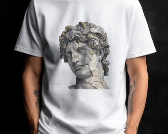 Camiseta con cabeza de mármol agrietada / Camiseta de arte de escultura clásica