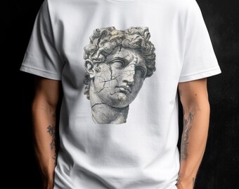 Camiseta con cabeza de estatua clásica agrietada / Camiseta con escultura de David desgastada