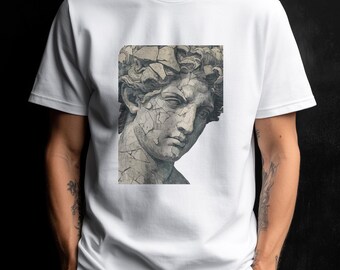 Camiseta con cabeza de estatua de mármol agrietada / Arte de la escultura clásica