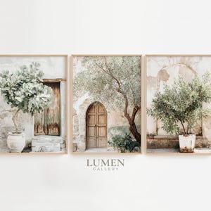 Puede incluir: Un conjunto de tres láminas de arte mural enmarcadas con escenas mediterráneas de muros de piedra, puertas de madera y árboles verdes en macetas. El texto LUMEN GALLERY aparece en gris oscuro bajo el marco central. Marcos de madera clara.