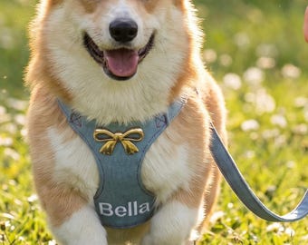 名入れ刺繍入り犬用ハーネスセット、かわいいリボン付きペットベストとお揃いのリード、小型犬用カスタムハーネス、コーギーやフレンチブルドッグへのギフト