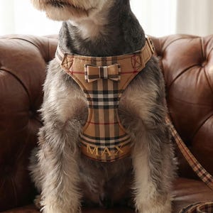 Puede incluir: Un perro con un arnés a cuadros marrón y beige con una correa a juego. El arnés tiene un lazo y el nombre "MAX" bordado. El perro está sentado en un sofá de cuero marrón.