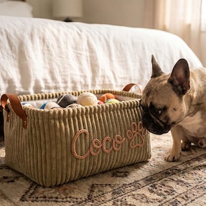 Könnte beinhalten: Ein rechteckiger Aufbewahrungskorb aus olivgrünem Kord mit braunen Ledergriffen, der vorne den gestickten Namen Coco und ein Pfotenabdruck-Motiv aufweist und mit verschiedenen kleinen runden Bällen neben einer falbfarbenen Französischen Bulldogge gefüllt ist.