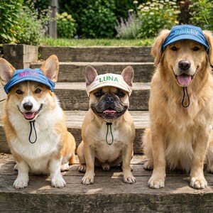 Puede incluir: Tres perros de diferentes razas sentados en escalones de madera, cada uno con una gorra. Un Corgi lleva una gorra azul con "MAX" en rosa. Un Bulldog Francés lleva una gorra beige con "LUNA" en verde. Un Golden Retriever lleva una gorra azul con "BAILEY" en blanco.