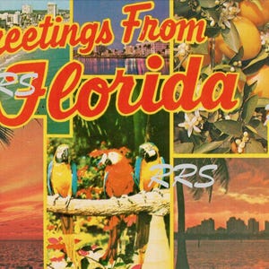Alte Florida | Grüße Von | Großbuchstabe | Vintage Postkarte Sofortiger druckbarer digitaler Download
